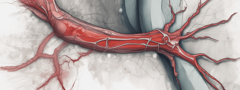 Post-Operative Complications: Deep Vein Thrombosis