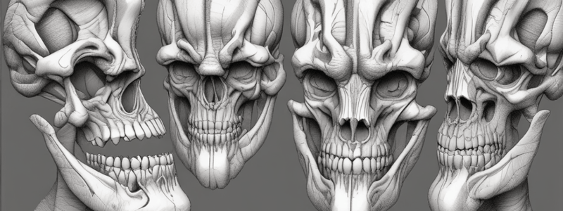 Classification of Jaw Ridge Forms and Joints Quiz