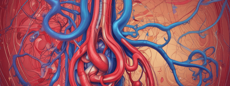 Renal Blood Supply Pathway Quiz