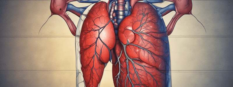 Cirrhosis of the Liver: Definition, Signs, and Symptoms