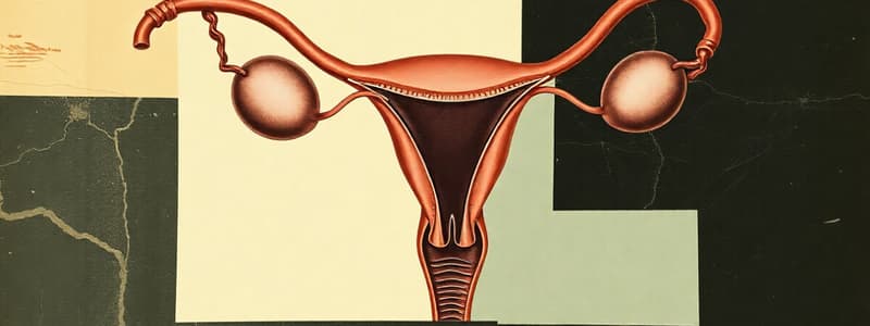 Female Genital Tract and Ovaries Overview