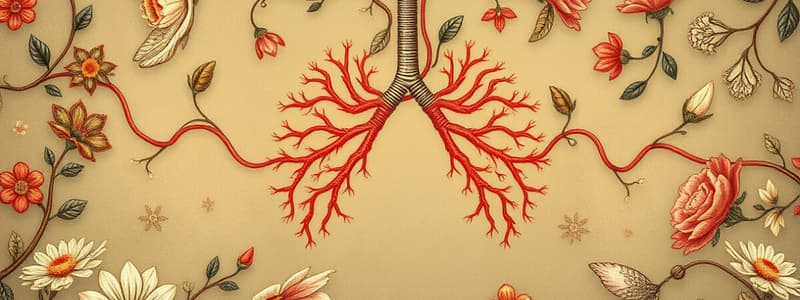 Biology Chapter: Aerobic Respiration