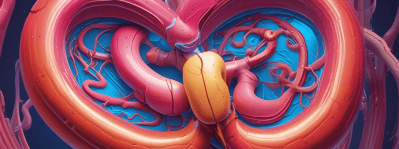 Renal Neoplasms and Congenital Renal Structures