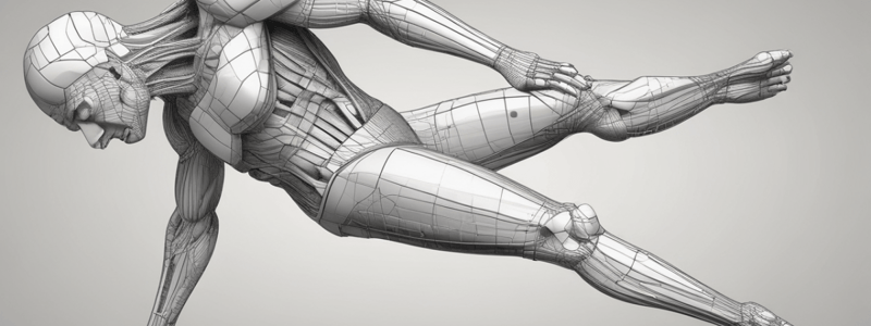 Knee Biomechanics Principles