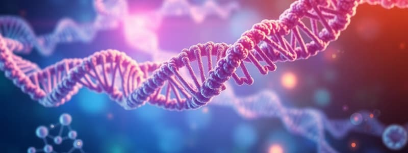 DNA Replication Process