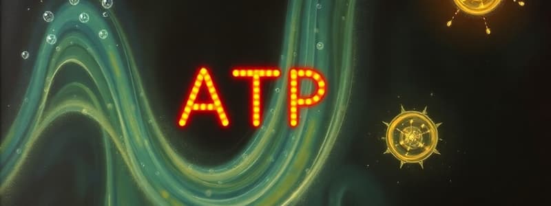 Energy Transfer System and ATP