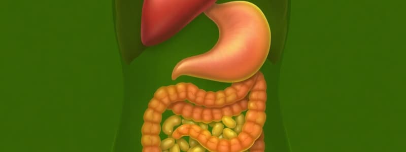 Bile and Biliary Secretion Quiz