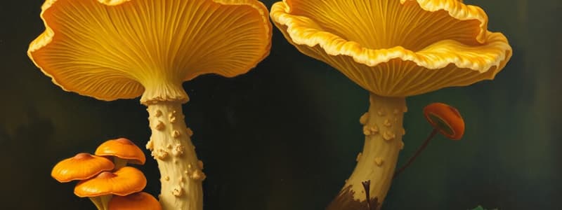 Mycology Overview and Its Importance