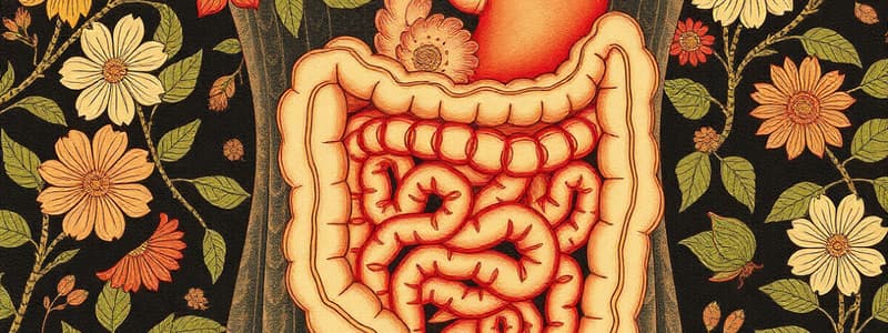 Digestive System Quiz