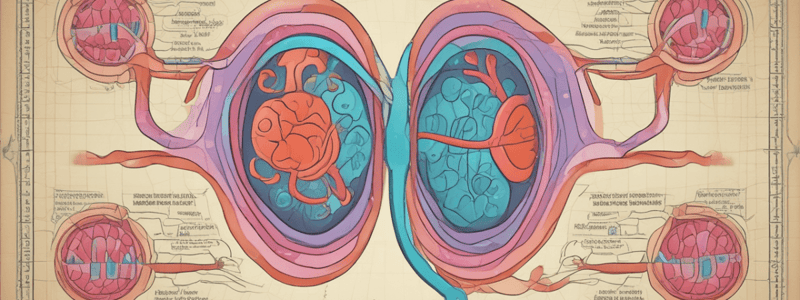 Assessing Renal Function Quiz