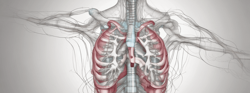 Y1S1 012 III Physiology Respiratory System Pressures