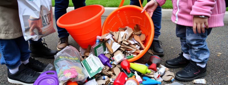 School Playground Litter Issues