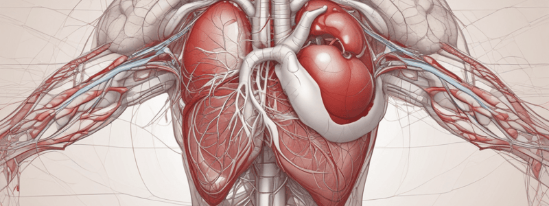 Sheet 5 Physiology