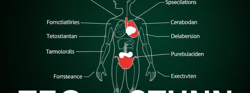 Human Hormone Functions Quiz