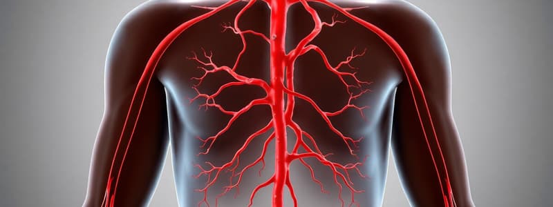 Arteries, Veins, and Lymphatic Systems