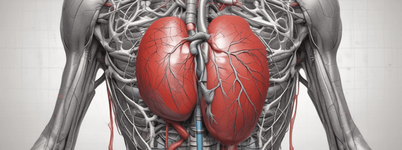 Anatomía y Fisiología del Sistema Cardio-Circulatorio