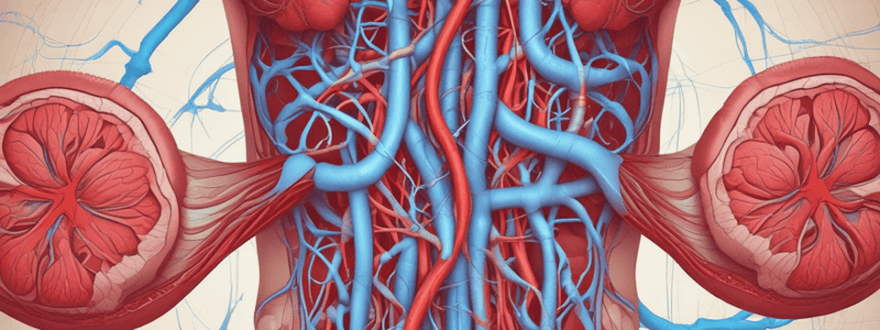 Circulatory System