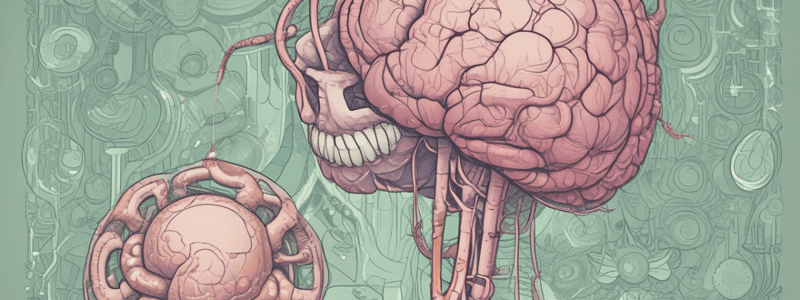 Adrenal Medulla and Catecholamines