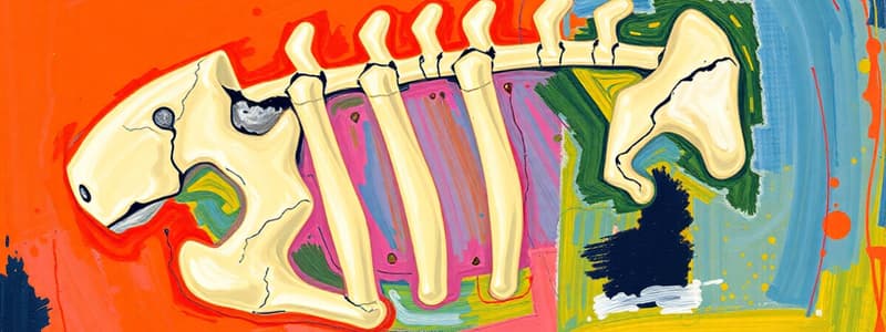 Bone Classification and Structure