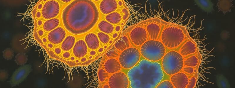 Prokaryotic vs. Eukaryotic Cells