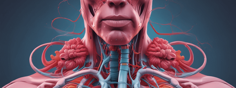 Respiratory System: Organs and Structures