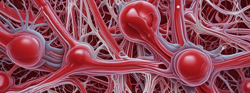 PN 1241 Chp. 17 Objective 1: Blood Structure and Function Quiz