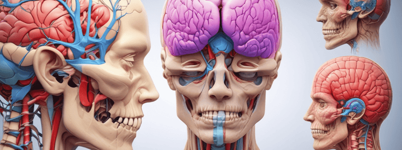 Cranial Nerves Quiz