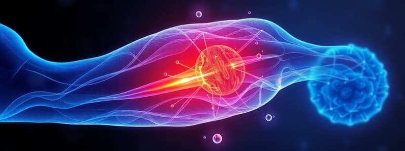 Human Physiology Week 2 - Muscle Repair Study Guide