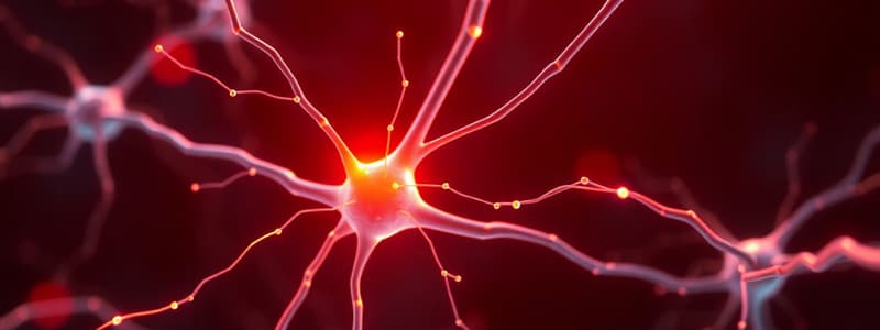 Nerve Impulses and Synaptic Transmission