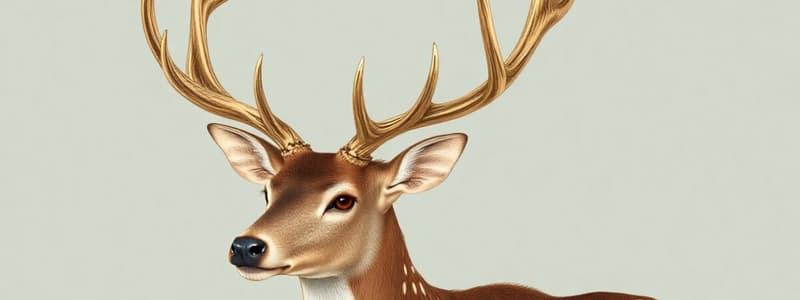 White-tailed Deer Bio facts