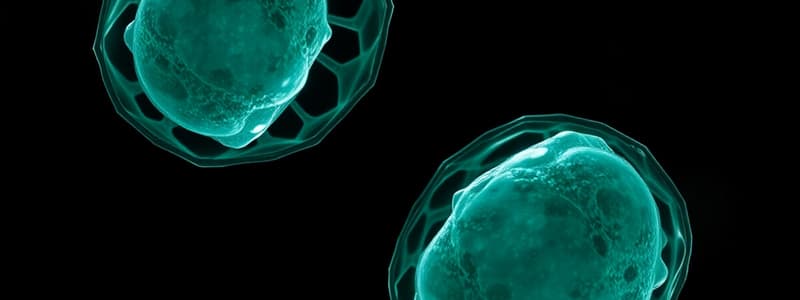 Biology: Reproduction and Meiosis Concepts