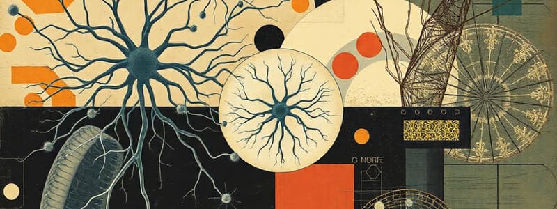 Neurons: Structure, Function, and Types