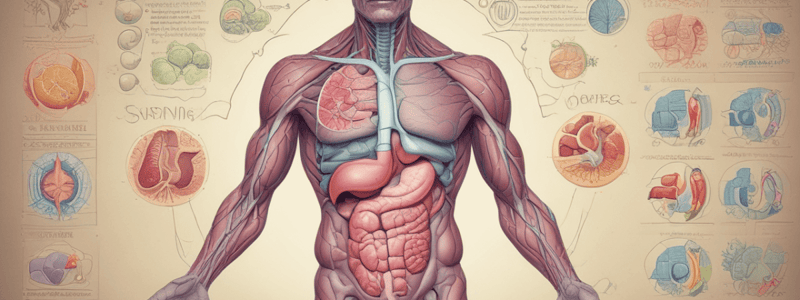 GI System Part 1