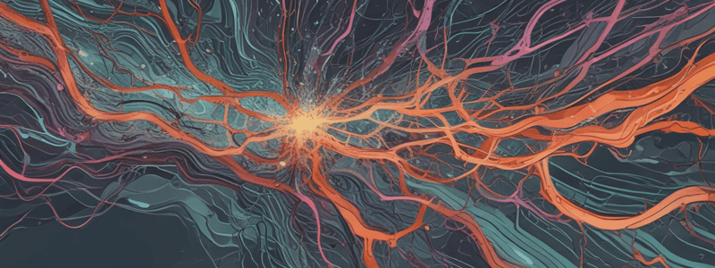 Neurotransmission Steps