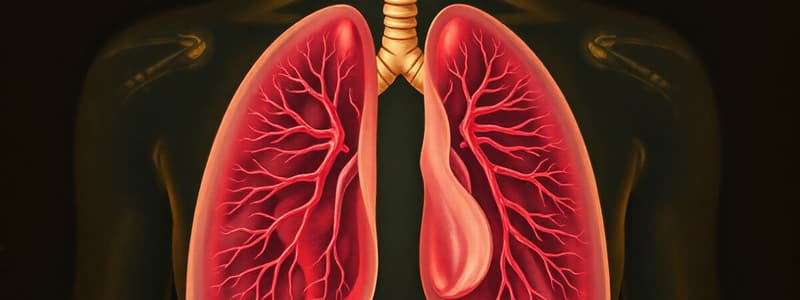 Respiratory System Quiz