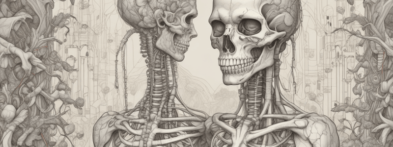 Human Tissue Types and Functions