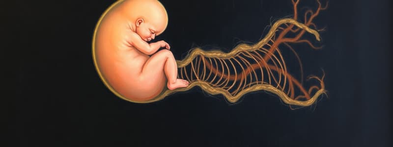 Embryology: Gut Formation and Development