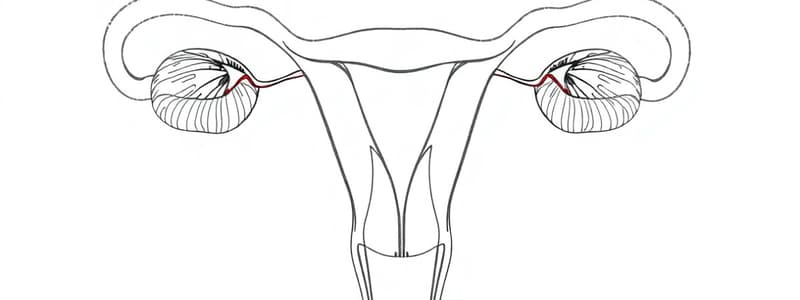 Reproductive, Urinary, & Endocrine Systems