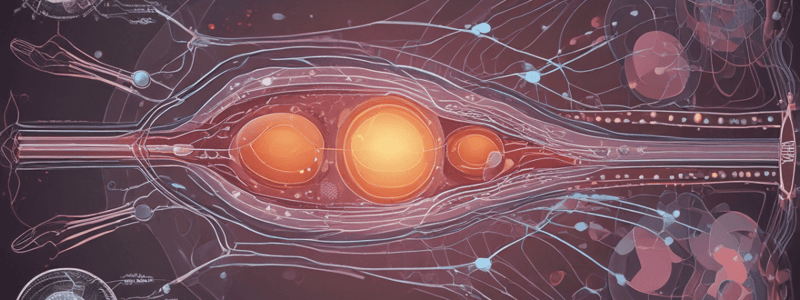 Adrenal Gland and Cortisol Disorders