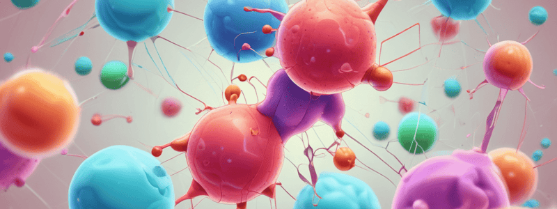 B Lymphocytes and Antibody Molecules