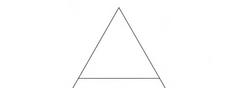 Examen de Matemáticas: Congruencias de Triángulos