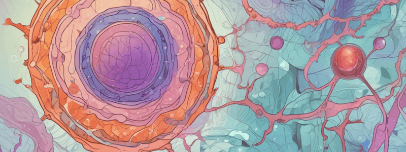 Cell Differentiation + Epigenetics + Phenotype