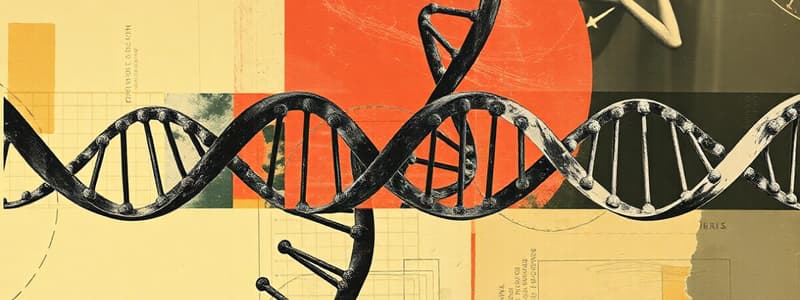 Structure and Function of DNA