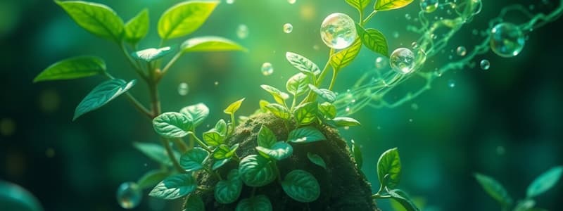 Photosynthesis: Light to Energy