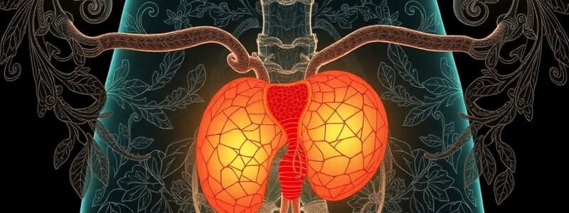 L4 Development of the ureter and urinary (P1 Mid)