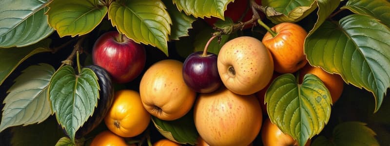 Biology: God's Living Creation - Fruits