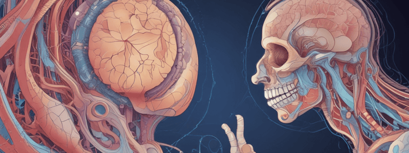 Respiratory System Development Quiz