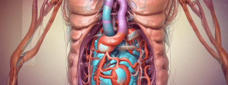 MBBS Year 1 Gastrointestinal Lectures Quiz