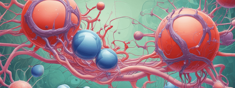 Phospholipid Structure in Cell Membranes