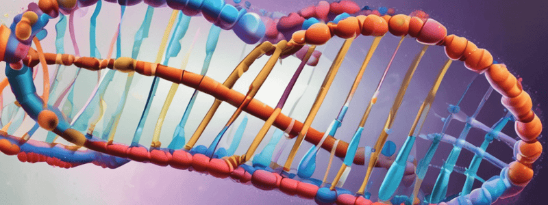 Molecular Biology: Error-Correcting Mechanisms in DNA Replication